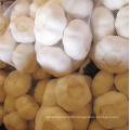 low price high quality Chinese fresh and natural pure white garlic for wholesale